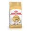 Imagen de ALIMENTO BALANCEADO GATOS SIAMESE  x 7,5 KG