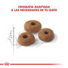 Imagen de ALIMENTO BALANCEADO GATOS FIT GATO  x 1,5 KG