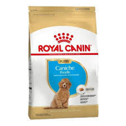 Imagen de ALIMENTO BALANCEADO PERROS CANICHE JUNIOR X 3 KG