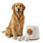 Imagen de ACCESORIOS PARA MASCOTAS - LPIS2,0N LANZAPELOTAS INTERACTIVO BEEPAW SHOOT-E 2,0 NARANJA