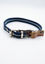 Imagen de ACCESORIOS PARA MASCOTAS COLLAR POLIPROP SIMPLE 2 3X63CM