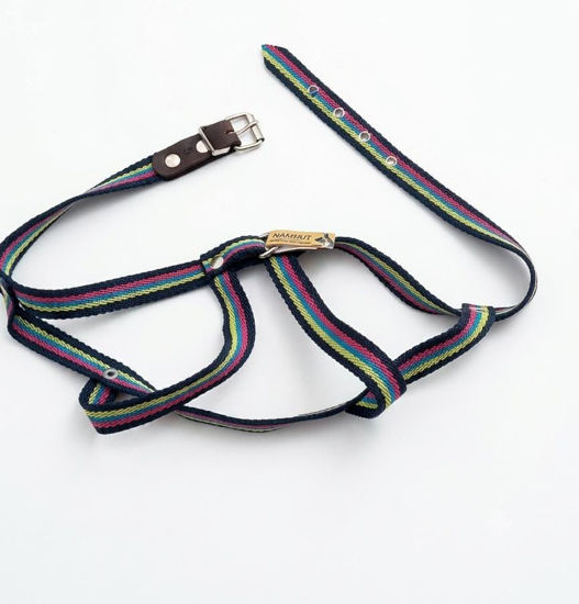 Imagen de ACCESORIOS PARA MASCOTAS PRETAL POLIPROP TALLE 5 X 2 CM