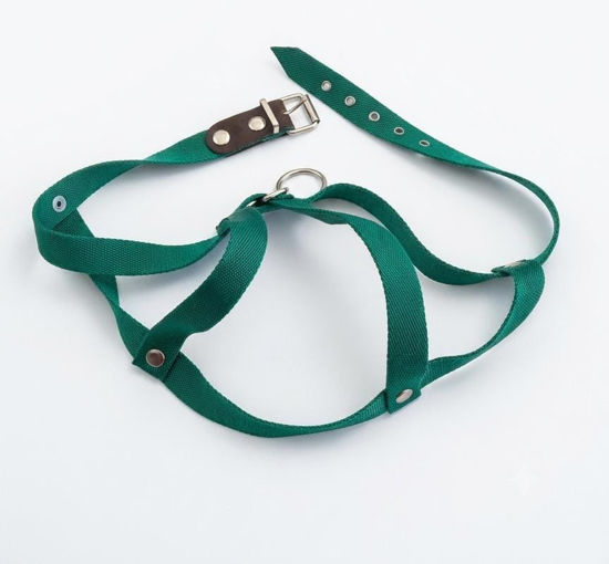 Imagen de ACCESORIOS PARA MASCOTAS PRETAL POLIPROP TALLE 6 X 2,5 CM
