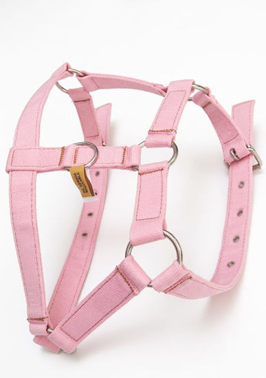 Imagen de ACCESORIOS PARA MASCOTAS PECHERA POLIPROP REFERZADA GRANDE